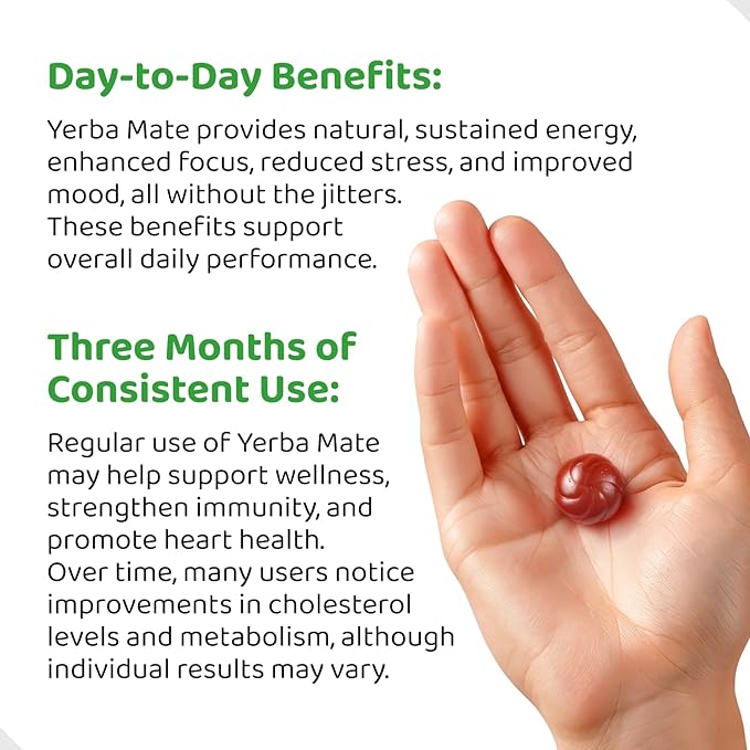 HOLYMARY Yerba Mate Gummies Raspberry Flavor - Energy Focus Power Vegan Non-GMO Natural Ingredients Gluten Free 50 Delicious Supplement Gummies