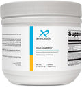 XYMOGEN GlutAloeMine - 3 g L-Glutamine with Aloe Vera Extract - GI Lining &amp Digestive Wellness Support Prebiotic Gentle Gut Health Powder - Vegan &amp Non-GMO - 6.1 oz (30 Servings)