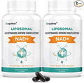 Orgabay Liposomal NAD+ Supplement 500 mg High Absorption Boost NAD+ with TMG 250 mg Actual NAD Plus More Efficient Than Nicotinamide Riboside Support Cellular Energy Healthy Aging | 120 Softgels
