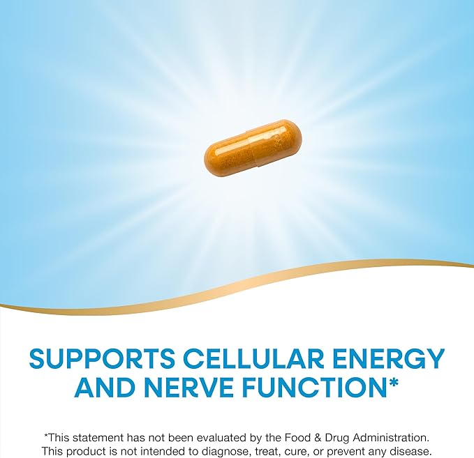 Nature's Way B-Stress Formula Supports Cellular Energy &amp Nerve Function* With Vitamins C B12 Vitamin B6 &amp More Gluten Free 100 Vegan Capsules (Packaging May Vary)