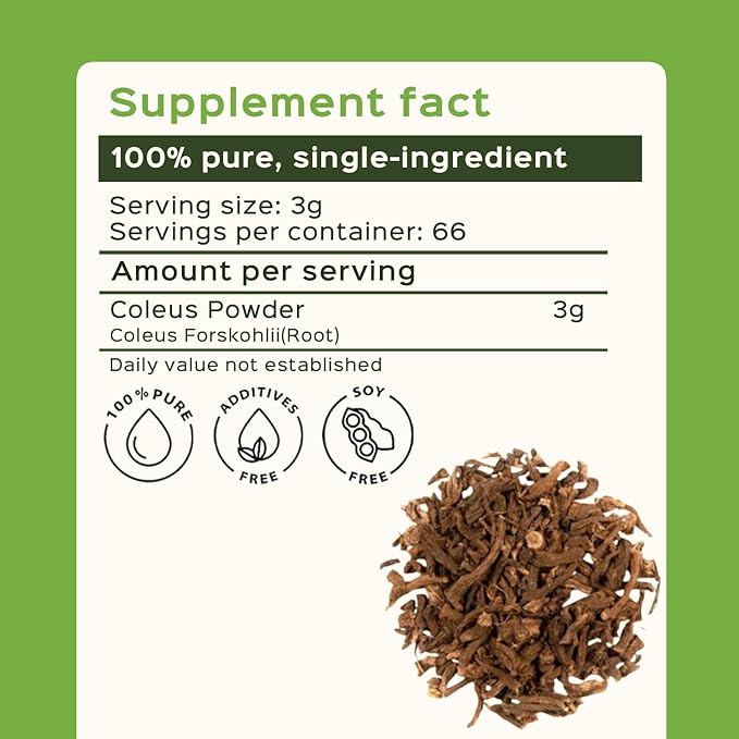bixa BOTANICAL Coleus Forskohlii Root Powder | Forskolin-Rich Herb | 200 Grams / 7 OZ | Gluten Free Steam Treated Vegan 100% Pure.