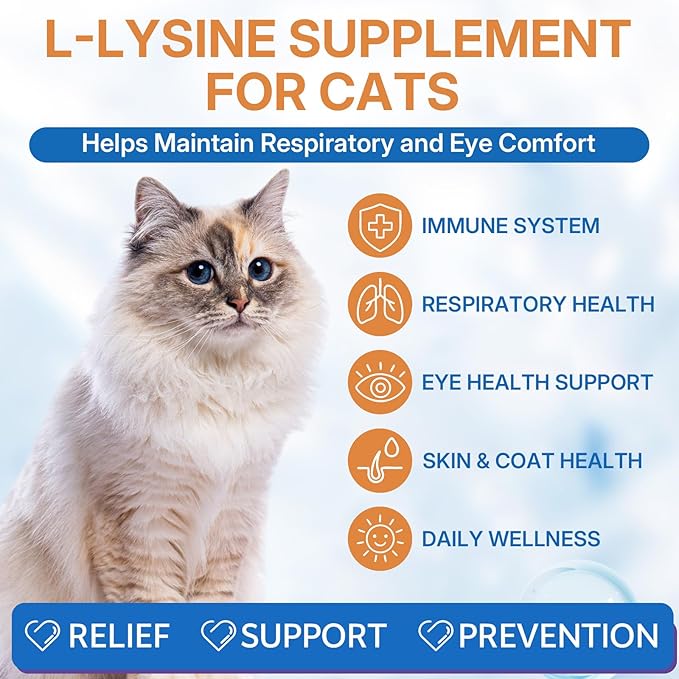 L-lysine Supplement for Cats + Cat Constipation Relief Supplement Liquid Cat Health Supplements for Immune Respiratory &amp Digestive Support Chicken Flavor 2 Fl Oz Each