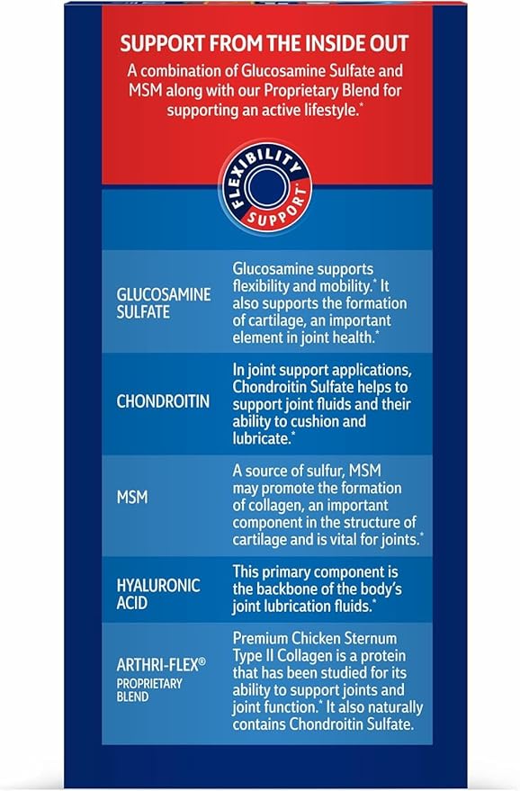 Glucosamine &amp Chondroitin MSM Advantage Tablets 120 Count
