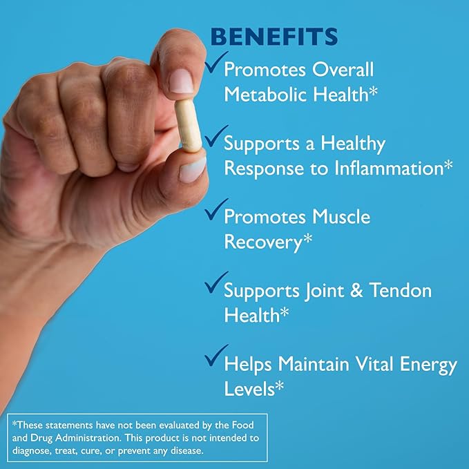 Excellacor-450 Systemic Enzyme Supplement – Acid-Resistant Serrapeptase &amp Proteolytic Enzymes – Supports Healthy Inflammation Response Joint Function &amp Circulation – 450 Vegetarian Capsules