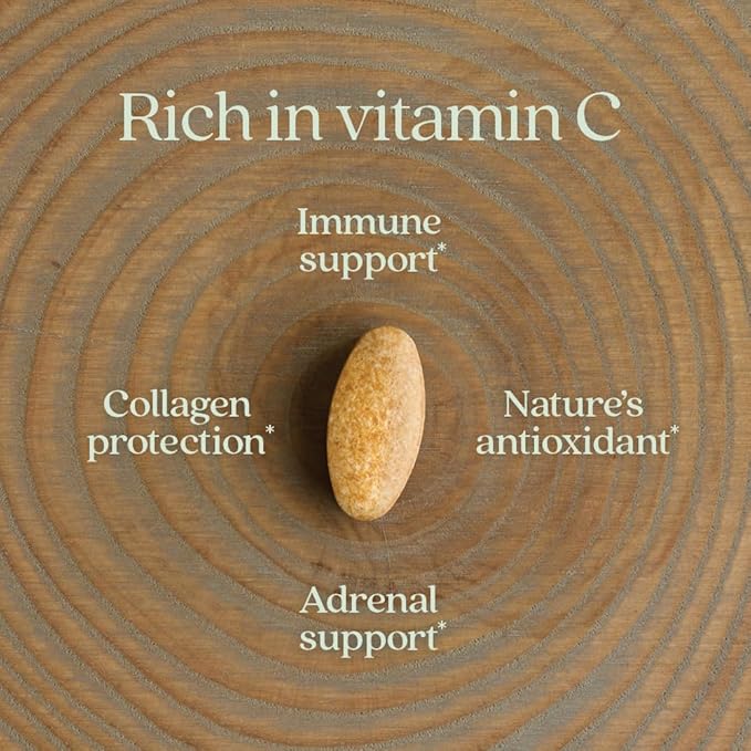 New Chapter Fermented Vitamin C + Elderberry ONE Daily for Immune Support &amp Collagen Protection Made with Organic Herbs Certified Vegan Gluten Free 60 Count