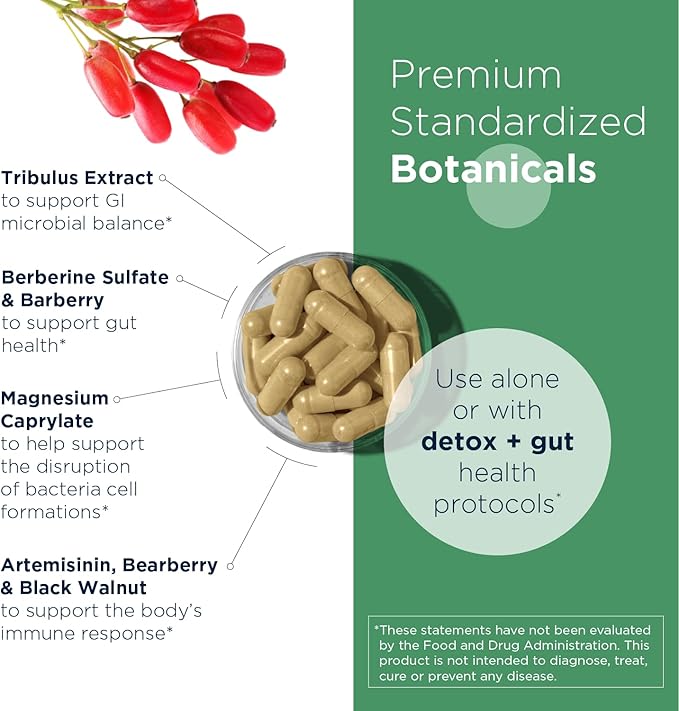 Designs for Health GI Microb-X - Botanical Gut Support Cleanse + Detox Supplement with Tribulus Berberine + Barberry Extract - Vegetarian + Non-GMO (120 Capsules)