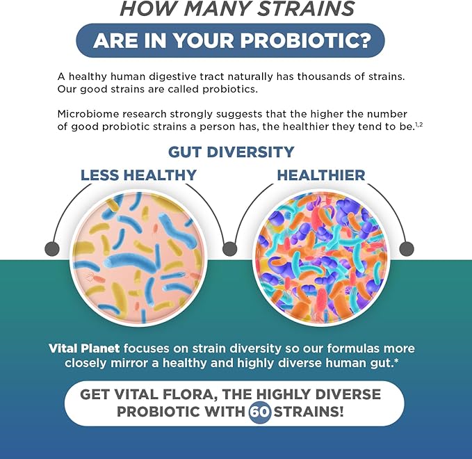 Vital Planet - Vital Flora Immune Support Probiotic 60 Billion CFU Diverse Strains Organic Mushroom Supplement Blend with Prebiotics Digestive Health Probiotics for Women and Men 30 Capsules