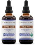 Secrets of the Tribe Grape Seed and Wild Yam Liquid Extract (2 pcs.) | Alcohol-Free Tinctures | Grape (Vitis vinifera) Dried Seed and Wild Yam (Dioscorea villosa) Dried Root (2x4 fl oz)