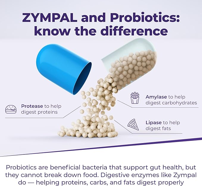 Pancreatic Digestive Enzymes 20000 Lipase USP Units – High-Potency Pancreatic Digestive Enzyme Supplement for Gas Bloating &amp Indigestion Relief–Gut Health &amp Nutrient Absorption – 50 Capsules