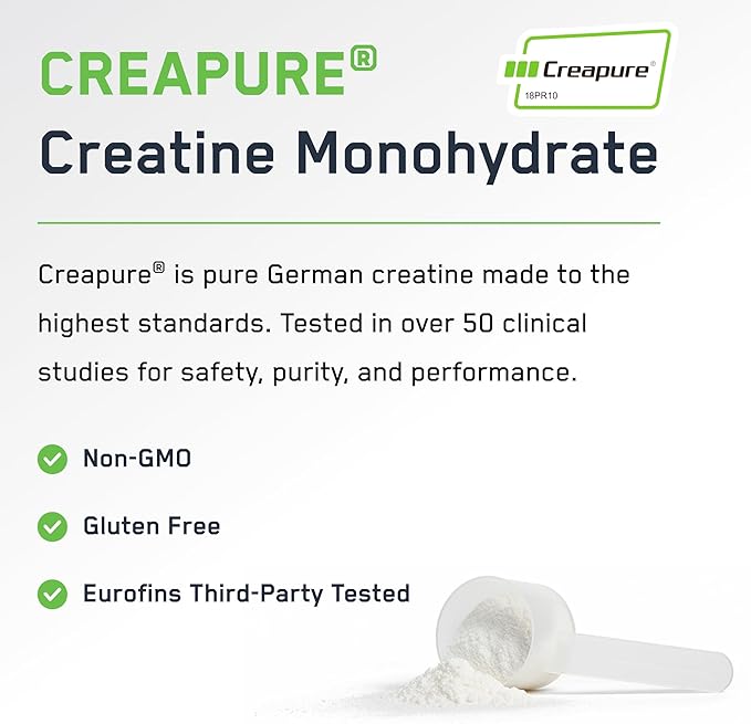 SteelFit Creapure Creatine Monohydrate Powder Unflavored - German Micronized Creatine Powder for Men &amp Women - Gym Workout Nutritional Supplements for Muscle Gain Brain Health &amp Strength Bui