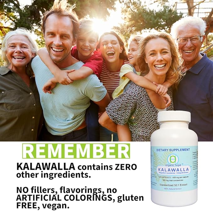 Organic Hope with Polypodium Leucotomos for Immune System Support Highest Potency 50:1 Extract Ratio 400mg. (3 Pack - 360 Veggie Caps) Save $12