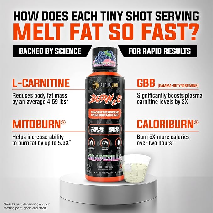 ALPHA LION Burn2O L-Carnitine Liquid 2000mg – Stim Free Super Thermogenic Fat Burner with MitoBurn® &amp CaloriBurn GP® Metabolism Booster Zero Calorie Sugar-Free (31 Servings Grapezilla Flavor)