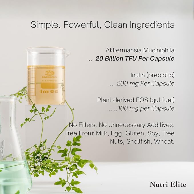 Akkermansia Muciniphila 20 Billion TFU | with Inulin &amp Plant-Based FOS | Gut Barrier &amp Digestive Support | Microbiome Balance Metabolic Support | No Refrigeration Required | 60 Capsules