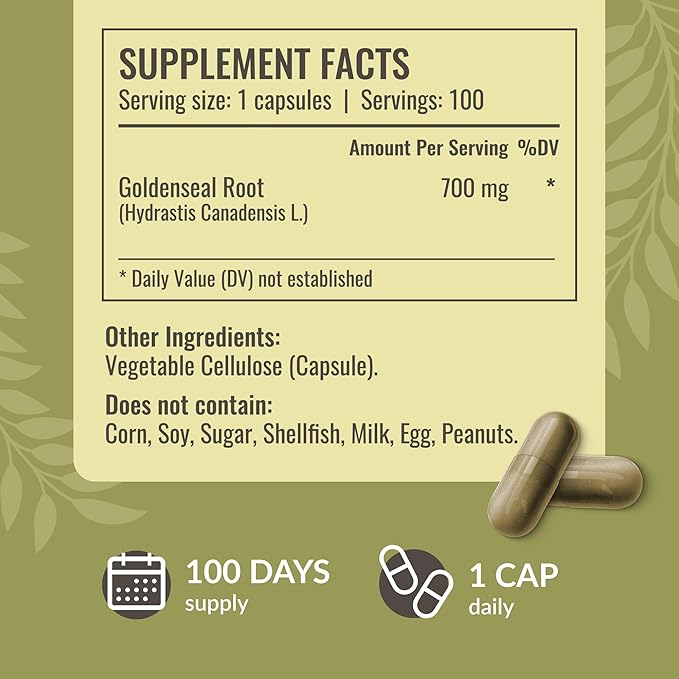 HERBAMAMA Chicory and Goldenseal Kit - Bundle of Chicory Root Capsules 250 &amp Goldenseal Root Capsules - Vegan Non-GMO Sugar &amp Alcohol-Free - 2 Pack