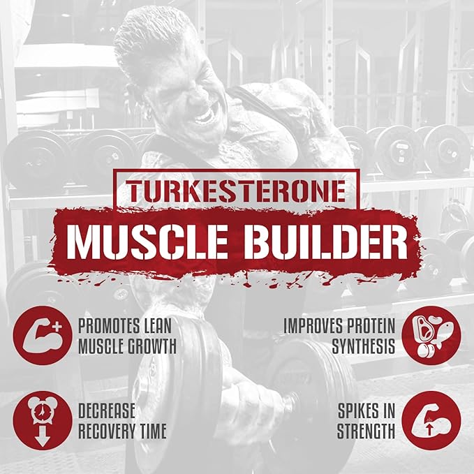 5% Nutrition 2-Stack | Liver &amp Organ Defender with NAC + BiggerByTheDay | Liver Kidney &amp Heart Support + Anabolic Muscle Builder Hardcore Lean Mass Gainer with Turkesterone HICA L-Leucine