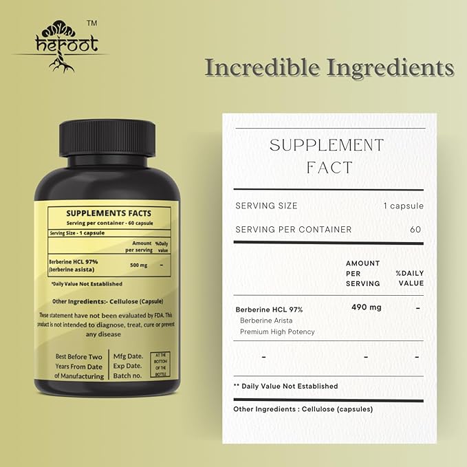Organic Berberine HCL Extract 500mg Premium Strength Berberine Supplement to Support Overall Wellness for Men Women |120 Capsules