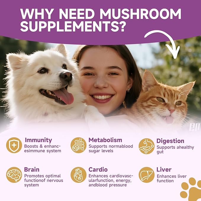 L-Lysine for Cats Cat Lysine for Feline Respiratory Sneezing Runny Nose Eye Function Mushroom for Dogs &amp Cats - Support Immune System Digestion Skin &amp Coat