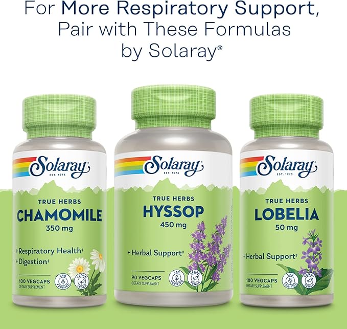 SOLARAY Mullein Leaf Herbal Support for Healthy Respiratory and Bronchial Function 330mg Vegan 100 Servings 100 VegCaps (Pack of 2)
