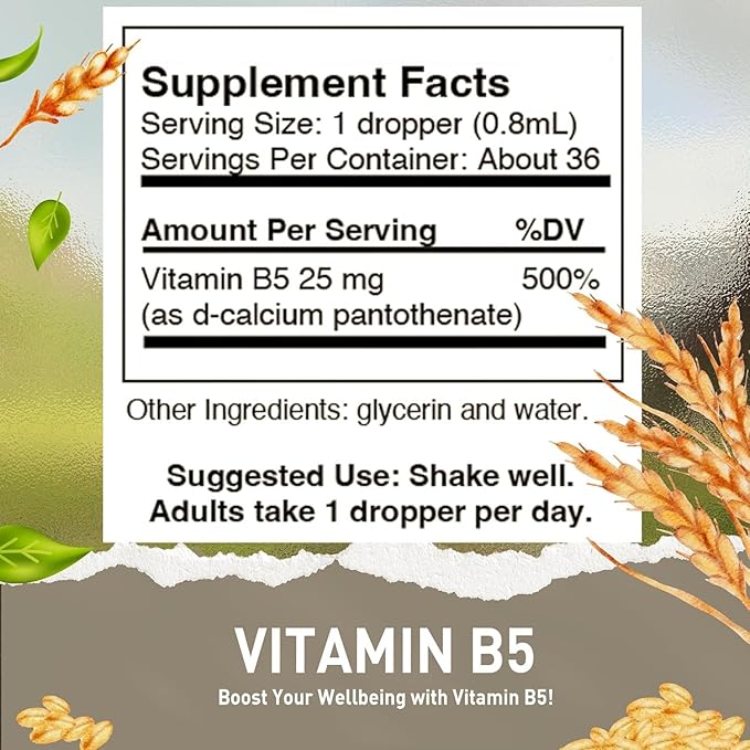 HoneyCombs Vitamin B5 Liquid Drops Pantothenic Acid 500% DV Liquid B5 Supplement Vegan Vitamin B Complex Liquid Fast Absorbing Vitamin Drops Daily Nutritional Support for Adults 1oz