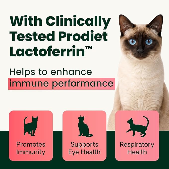 VetriScience Ultimate Strength Lysine Immunity Health Powder for Cats &amp Kittens Supplement for Allergy &amp Nasal Support Sneezing Runny Nose &amp Watery Eyes Chicken &amp Cheese Flavor 60