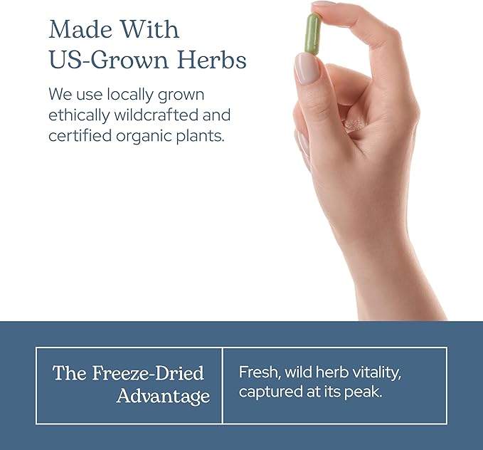 Eclectic Herb - Premium Raw Freeze-Dried Oats Capsules | Milky Green Oats Avena Sativa | Nervous System Support | Natural Dietary Supplement | Organic Vegan Non-GMO (90 CT | 375 mg)
