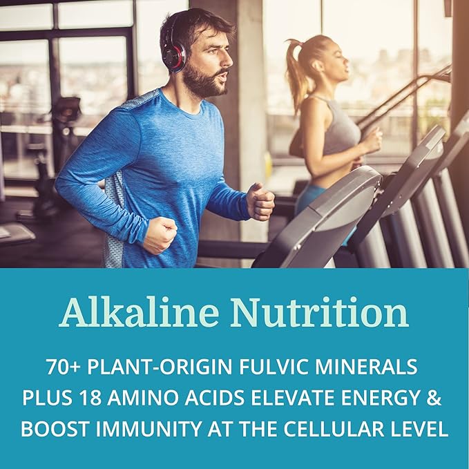 Morter Trace Minerals in Colloidal Suspension (12 Pack) Morter HealthSystem Best Process Alkaline — Nutrient Dense Trace Elements Fulvic Minerals &amp Amino Acids