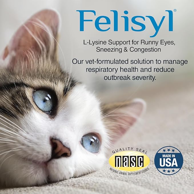 Felisyl L-Lysine Gel for Cats &amp Kittens (5oz) – Immune System Respiratory &amp Eye Health Support. Reduces Sneezing Runny Nose &amp Watery Eyes. Daily Salmon-Flavor Supplement – Made in USA (2