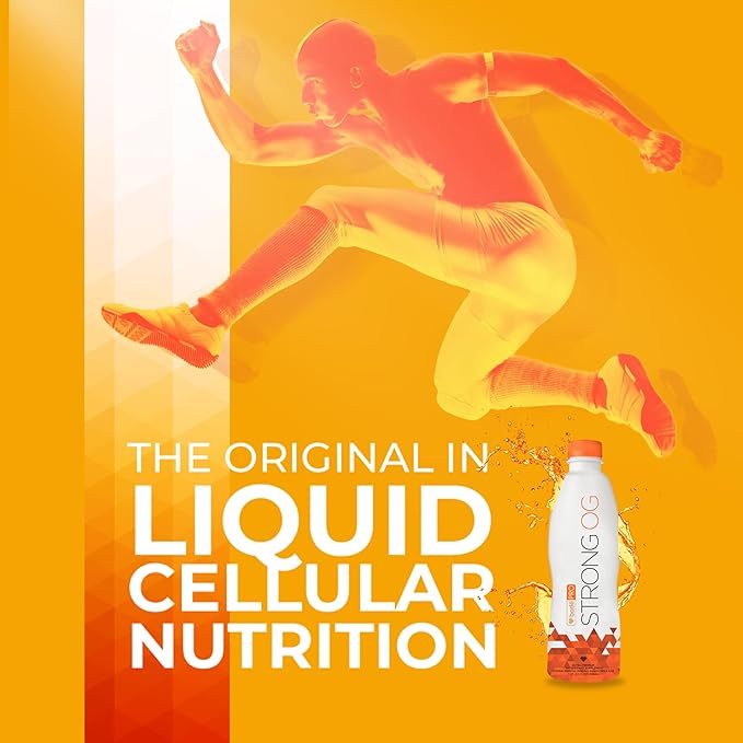 BodePRO Strong OG | Liquid Antioxidant | Magnesium Iron Zinc | Immune Booster | Vitamin C B12 D3 B6 A and E | Vitamins and Minerals | 32fl.oz.