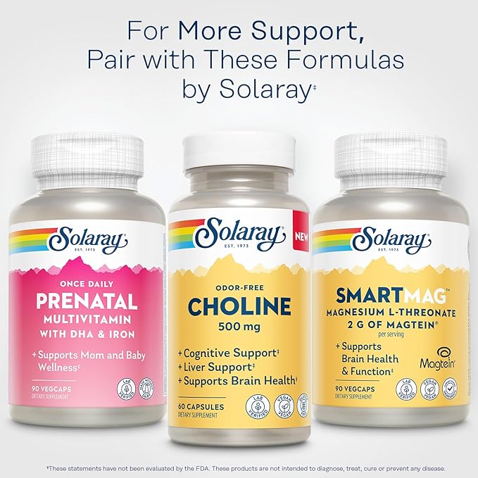 SOLARAY Choline 500 mg – Cognitive Brain Health and Liver Support Supplement – Powerful Brain Supplement &amp Choline Source for Adults – Odor-Free Vegan Liquid VegCaps – 60 Servings 60 Capsules