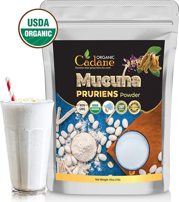 Organic Cadane Mucuna Pruriens Powder 1 Pound | Promotes Brain Health Supports Immune System Energy | USDA Certified Vegan-Friendly Supplements | Pure Natural Velvet Beans Extract from India