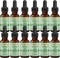 LOVITA 12 Bottles Value Pack Bee Propolis Liquid Extract 500mg 5:1 Resin Drops with 18% Bioflavonoids Alcohol-Free Antioxidant Immune Support &amp Throat Soothing