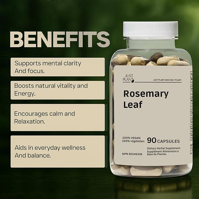Rosemary Leaf Extract 500mg 90 Vegan Capsules Herbal Supplement for Mind Body &amp Hair Wellness Gluten-Free Plant-Based