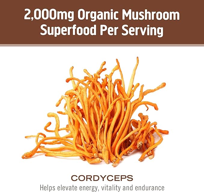 OM MUSHROOM SUPERFOOD Cordyceps Mushroom Capsules Superfood Supplement 90 Count 30 Days Organic Energy Supplement for Stamina and Endurance