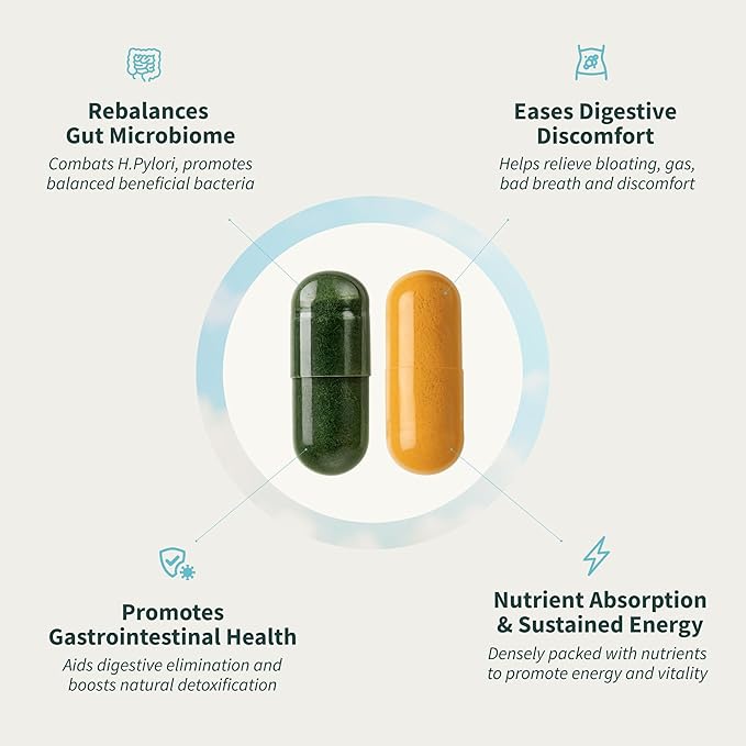 Snap Supplements Gut Health Lipase Supplement &amp Organic Spirulina Chlorella Bundle–Probiotic + Greens–Supports Digestion Detox Energy &amp Immune Health 50 + 120 Vegetarian Capsules (1 Month S