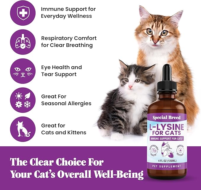 L-Lysine Supplement for Cats &amp Kittens – Immune Support Liquid for Feline Respiratory Health Sneezing Runny Nose &amp Watery Eyes – 250mg Lysine Cat Drops with Vitamins Complex – Chicken Flavor