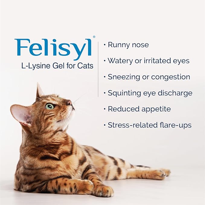 Felisyl L-Lysine Gel for Cats &amp Kittens (5oz) – Immune System Respiratory &amp Eye Health Support. Reduces Sneezing Runny Nose &amp Watery Eyes. Daily Salmon-Flavor Supplement – Made in USA (6