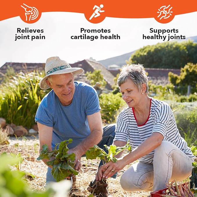 LifeSeasons Mobili-T - Joint Support Supplement - Reduces Aches &amp Discomforts - Increase Range of Motion - Rebuild Tissue &amp Cartilage - MSM Chondroitin Collagen Glucosamine &amp Turmeric - 20