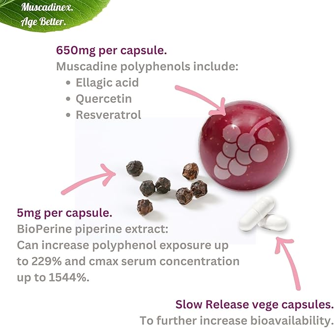 Muscadine Grapeseed Supplement - Superfood Supplement - High ORAC Antioxidant &amp Polyphenols with Resveratrol Quercetin &amp Ellagic Acid - Grape Skin &amp Seed for Health &amp Longevity - 60 S