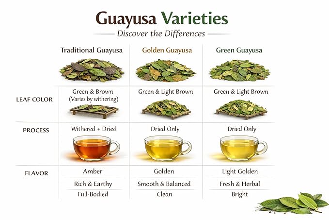 GREEN GUAYUSA TEA BAGS by PACHA | 100 Tea Bags | 1.5g leaf in each | ~33 mg Caffeine per cup | Clean &amp Balanced Energy |