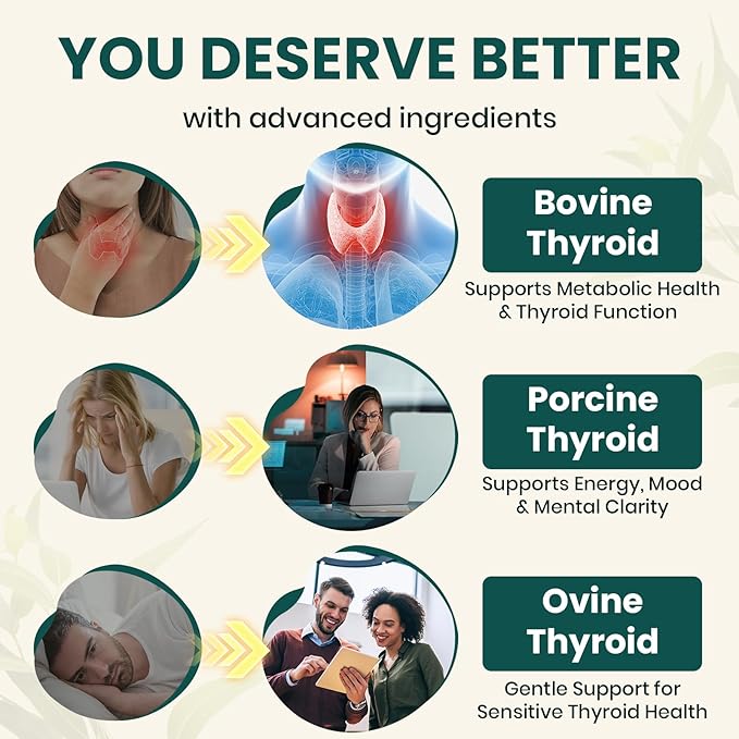 Thyroid Supplement – TriDexThyro™ Raw Desiccated Thyroid Complex 375 mg with Bovine Porcine &amp Ovine –120 Capsules for Women and Men（1 Pack）