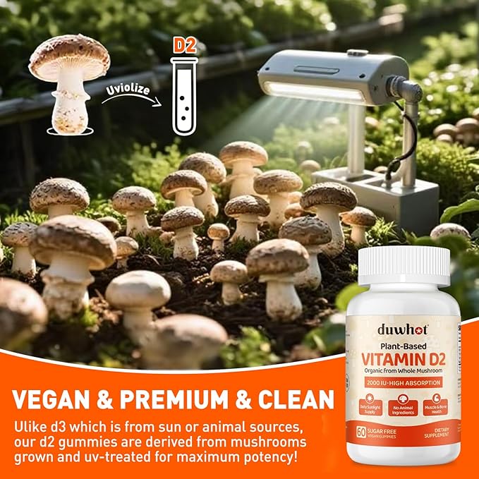 Vitamin D2 Gummies 2000 IU Plant-Based Vitamin D Supplement from Whole Mushroom for Bone Muscle &amp Immune Support Daily Sunshine Supply Vegan Non-GMO Orange 60 Chews