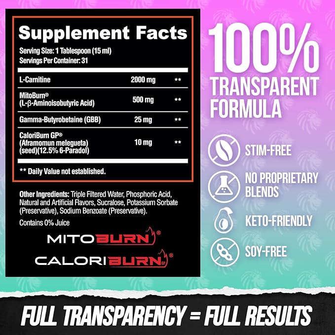 ALPHA LION Burn2O L-Carnitine Liquid 2000mg – Stim Free Super Thermogenic Fat Burner with MitoBurn® &amp CaloriBurn GP® Metabolism Booster Zero Calorie Sugar-Free (31 Servings Grapezilla Flavor)