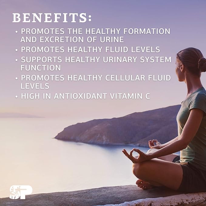 Standard Process A-C Carbamide - Supports Healthy Excretion of Urine &amp Cellular Fluid Levels - Contains Vitamin A &amp Antioxidant Vitamin C - Gluten-Free Non-Dairy &amp Non-Soy - 270 Capsules