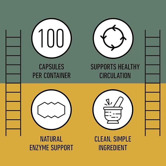 CNP Nattokinase 570mg Capsules - 6000FU Natto Enzyme Supplement Healthy Circulation Support Fermented Soy Extract Vegan Gluten Free Non GMO Pure No Fillers High Potency 500 Count Made in USA