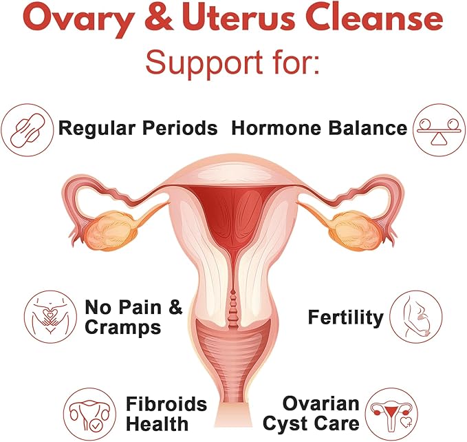 Lunza Ovary and Uterus Cleanse Uterus Cleanse Regular Periods Fertility Ovarian Cyst Health &amp Fibroids Support for Abnormal Bleeding No Cramps 60 Vegan Capsules