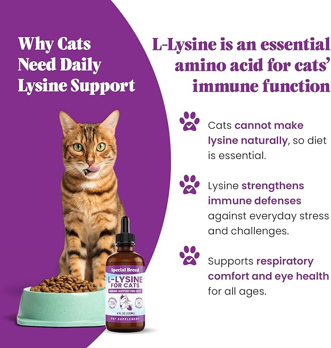 L-Lysine Supplement for Cats &amp Kittens – Immune Support Liquid for Feline Respiratory Health Sneezing Runny Nose &amp Watery Eyes – 250mg Lysine Cat Drops with Vitamins Complex – Chicken Flavor