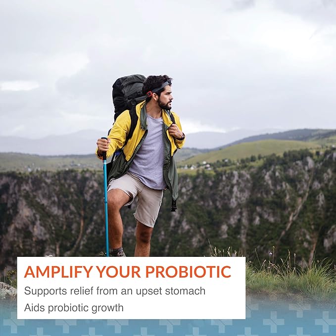 Arthur Andrew Medical Floraphage Prebiotic Formula and Probiotic Multiplier 90 Capsules