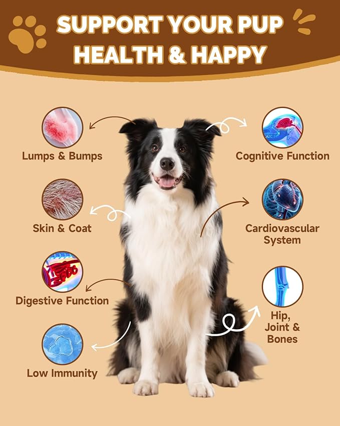 L-Lysine Supplement for Cats - Immune Support - 60ML Lysine for Feline Respiratory Sneezing Runny Nose Eye Function Mushrooms for Dogs - Turkey Tail Mushroom for Dogs - Gut Skin Joint Health