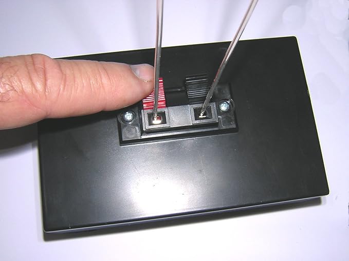 Model EZ-1 Deluxe Colloidal Generator Package - Make 32 oz in 32 Minutes - (14 Gauge Silver Wires)