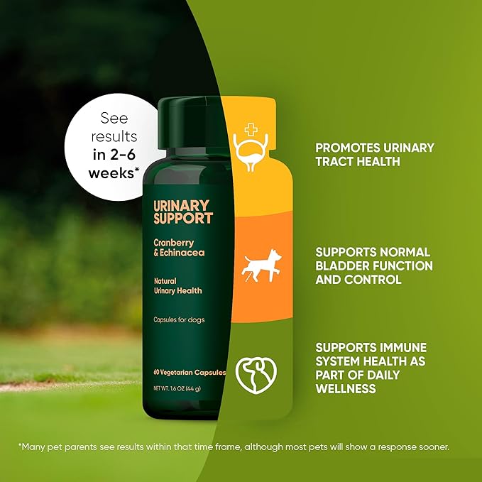 Rooted Owl Urinary Support - Echinacea and Cranberry Supplement for Dogs - Dog UTI Prevention - 60/ct